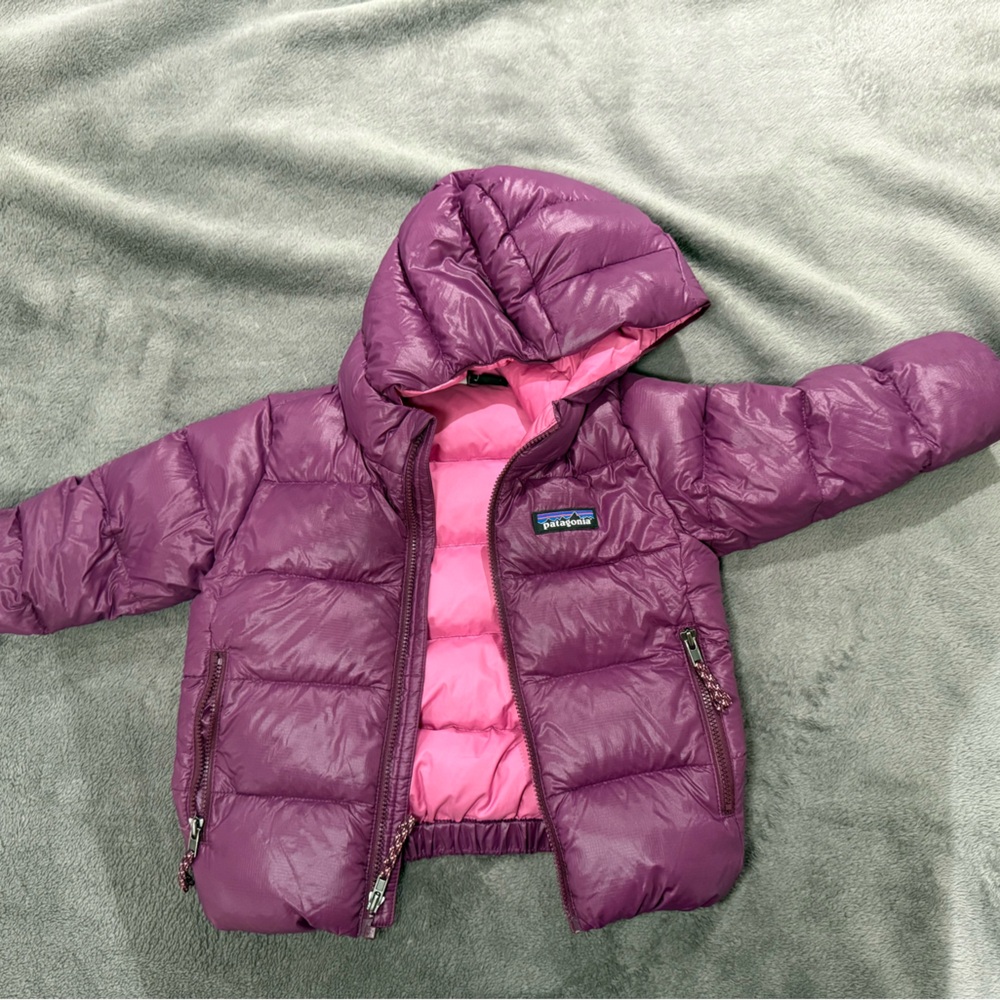 Patagonia Baby Hi-Loft Down Sweater Hoody